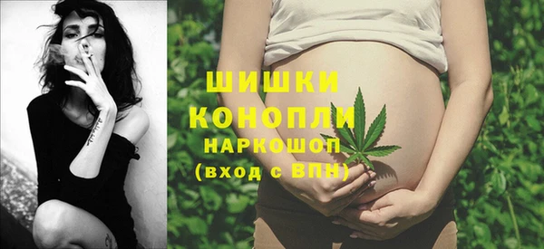 стафф Новокубанск