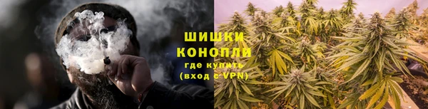 стафф Новокубанск