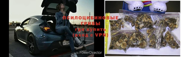 стафф Новокубанск