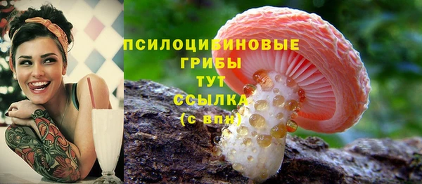 герыч Алзамай
