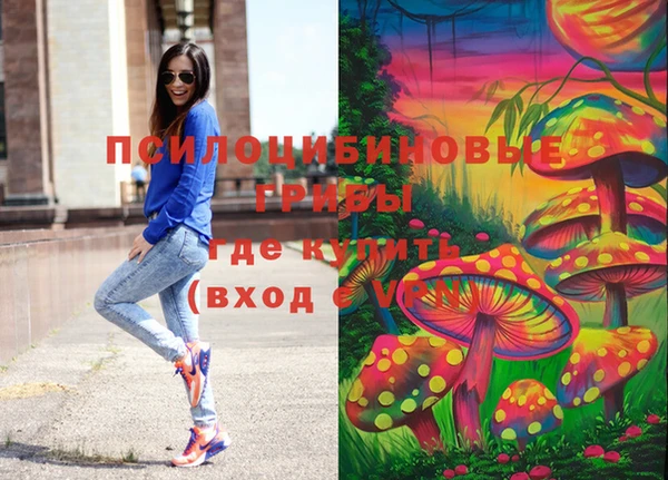 прущие грибы Новозыбков