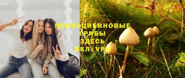 стафф Новокубанск