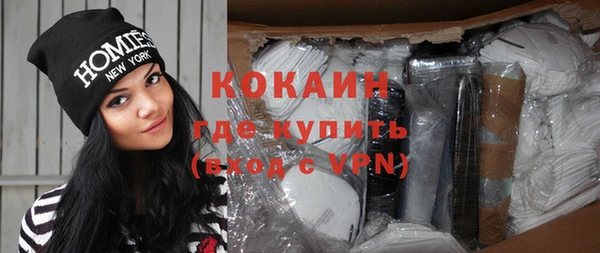 прущие грибы Новозыбков