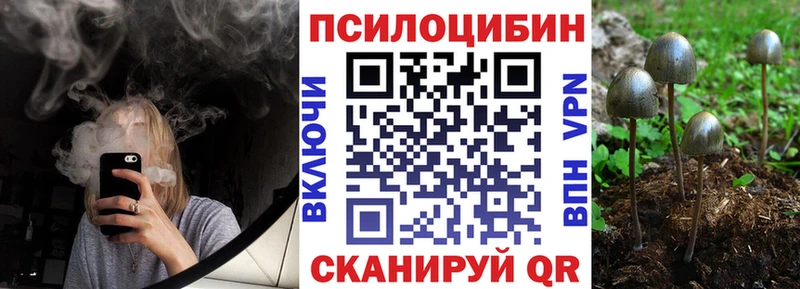 дарнет шоп  Алдан  Галлюциногенные грибы Magic Shrooms 